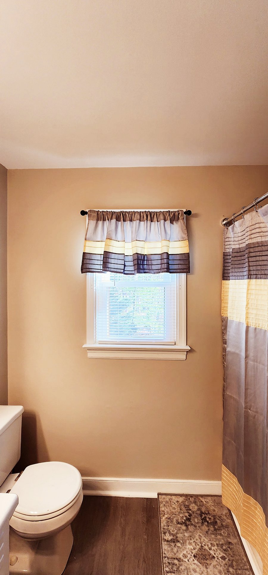 I'm not sure why I added this photo. The window is new as is the bathroom vent.