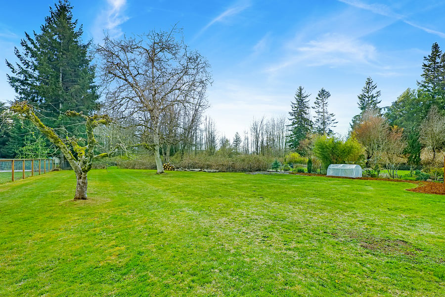 Fully fenced yard