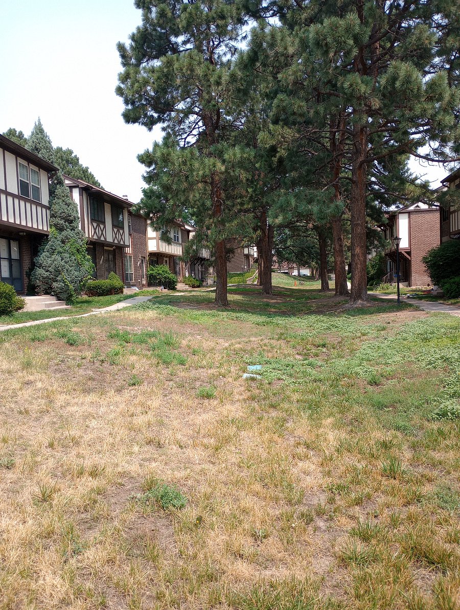 Furnished Finder property 682097_1 photo 17