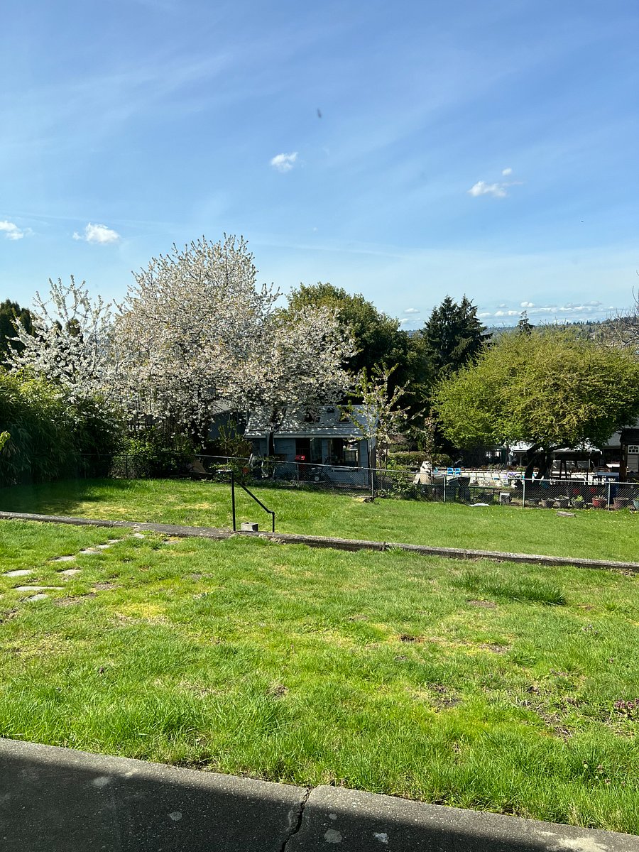 Large backyard.
