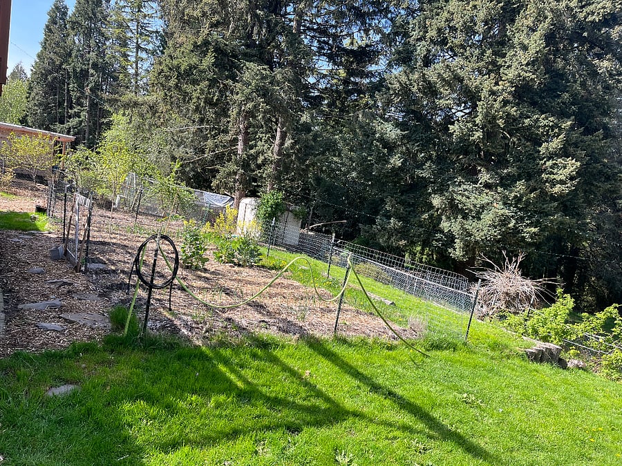 View of vegetable garden, shed, neighbor's chicken run.