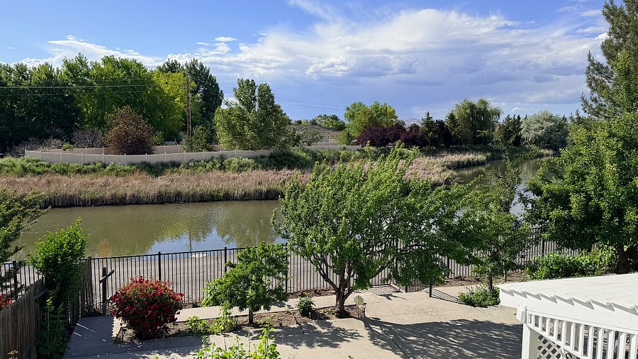 View of backyard