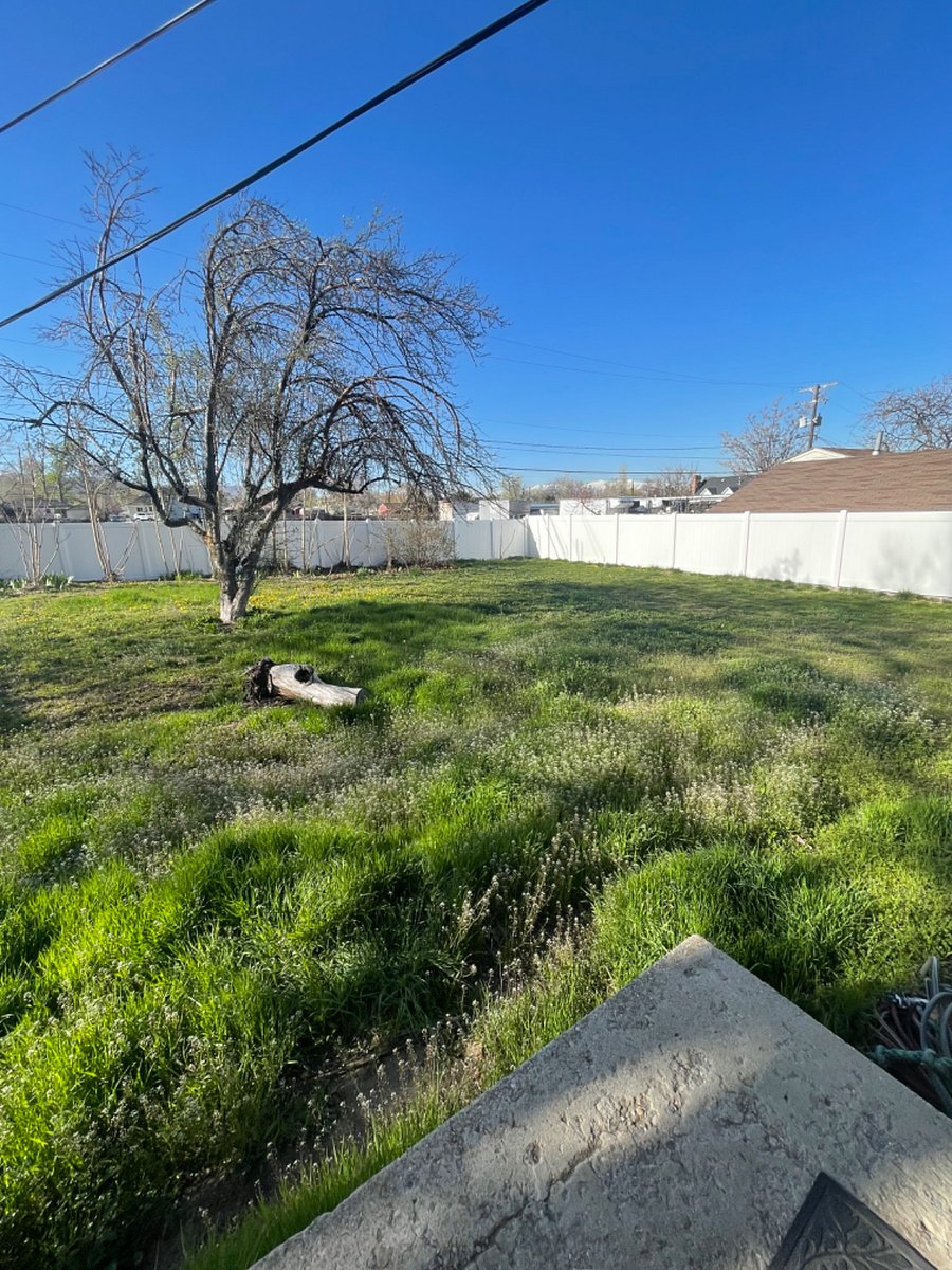 Fenced backyard 