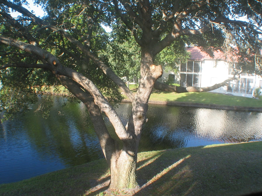 Furnished Finder property 682713_1 photo 6