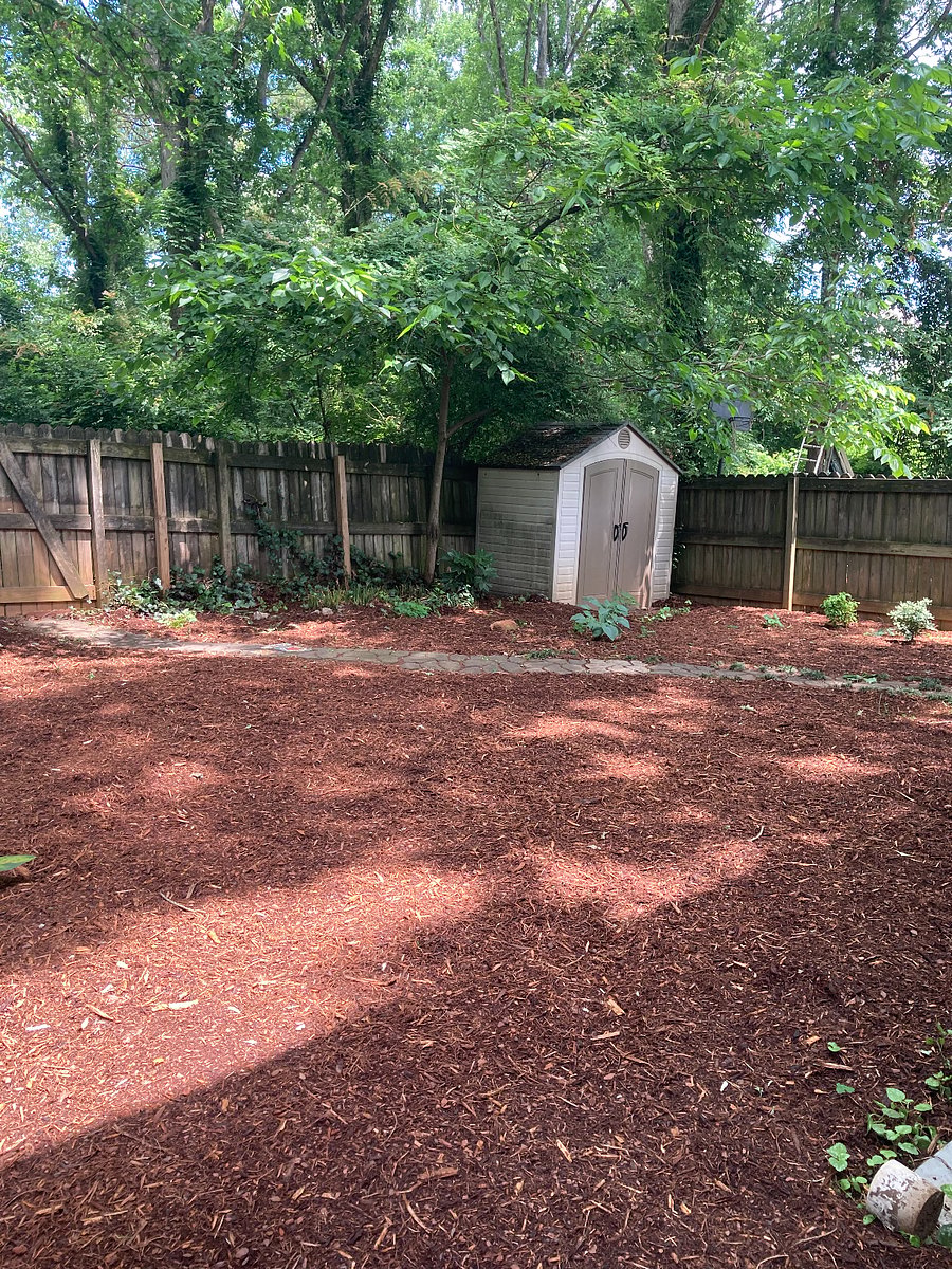 Fenced backyard
