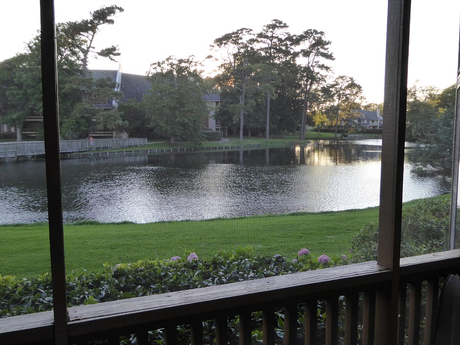 Furnished Finder property 682811_1 photo 26