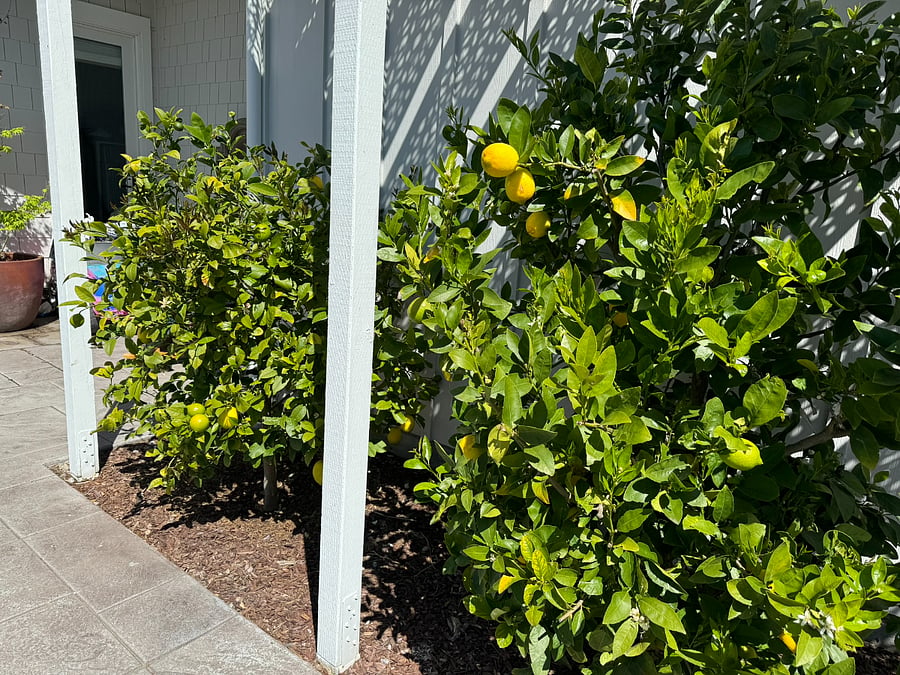 Furnished Finder property 682904_1 photo 25