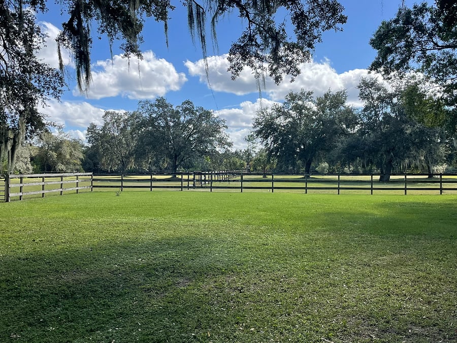Pasture view