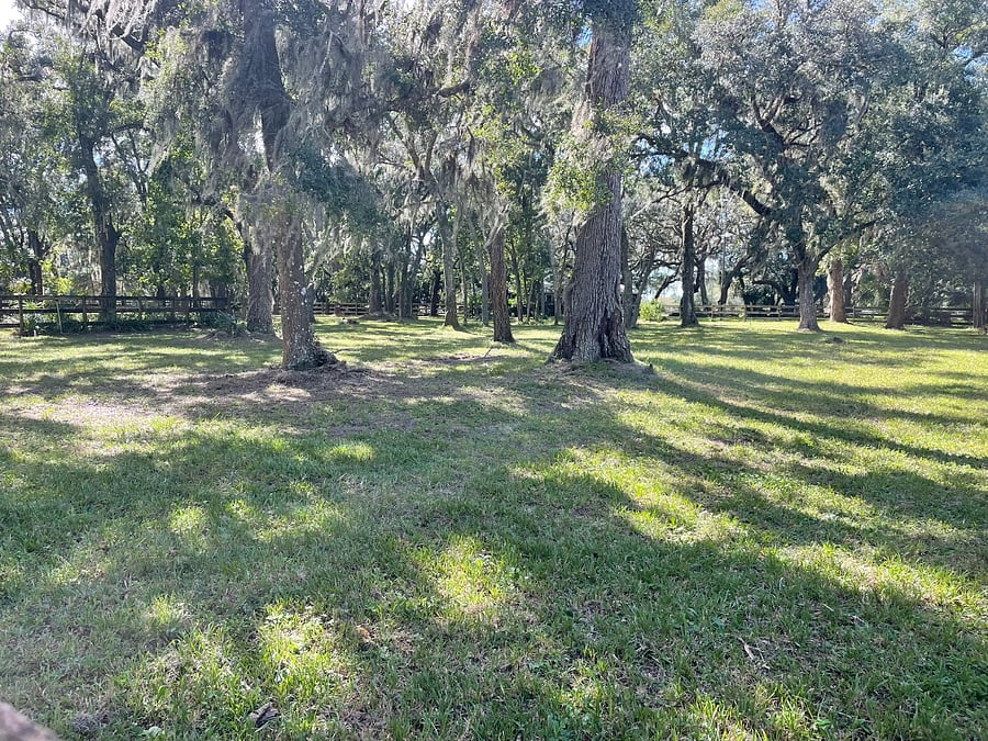 Front yard view