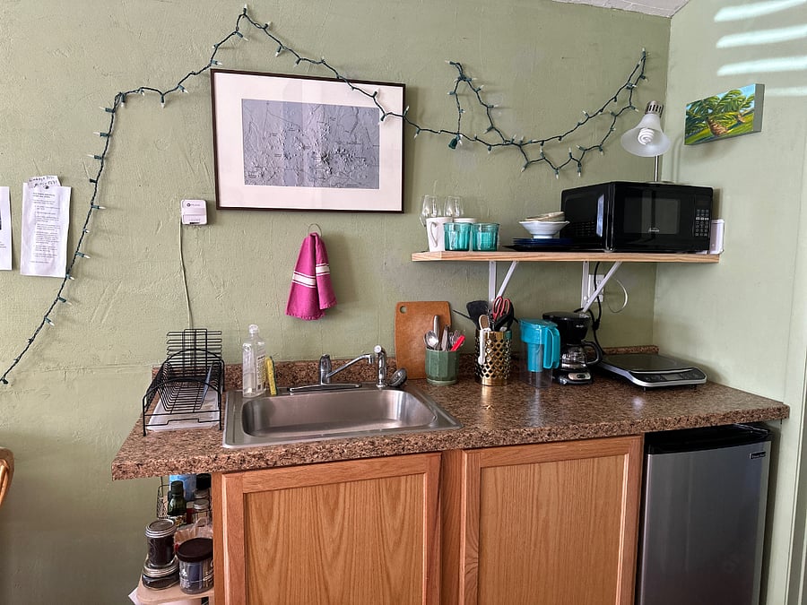 Kitchenette with microwave, fridge, induction plate, toaster.