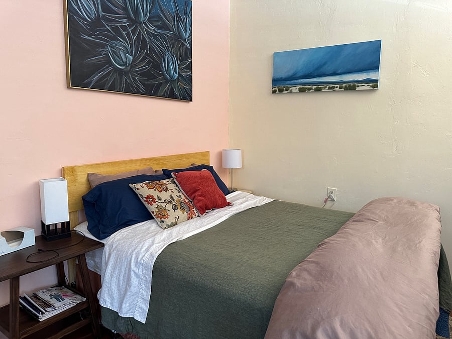 Super comfy queen-sized bed and artwork!