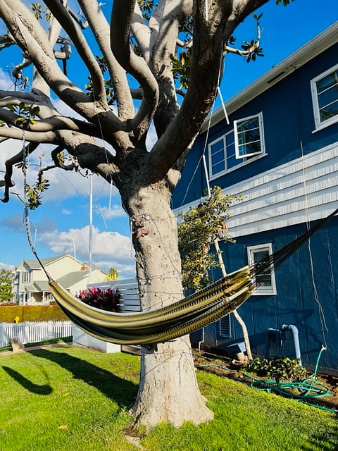 Furnished Finder property 683159_1 photo 15