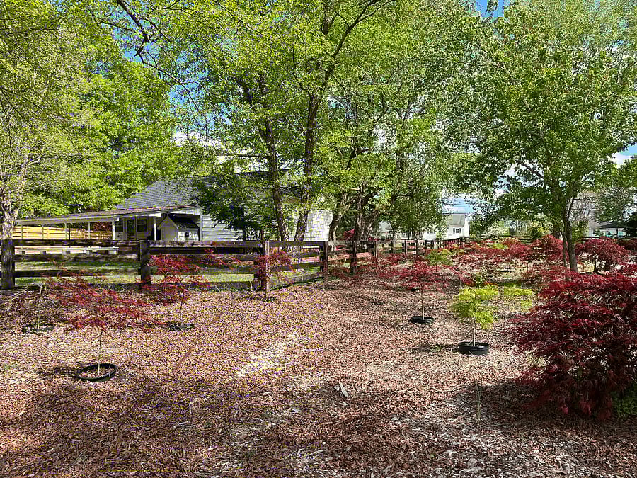 Furnished Finder property 683161_1 photo 19