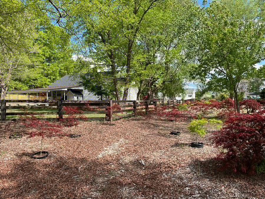 Furnished Finder property 683161_1 photo 20