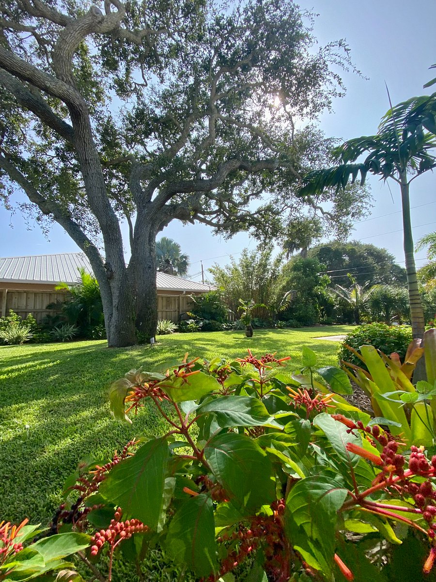 Furnished Finder property 683673_1 photo 7