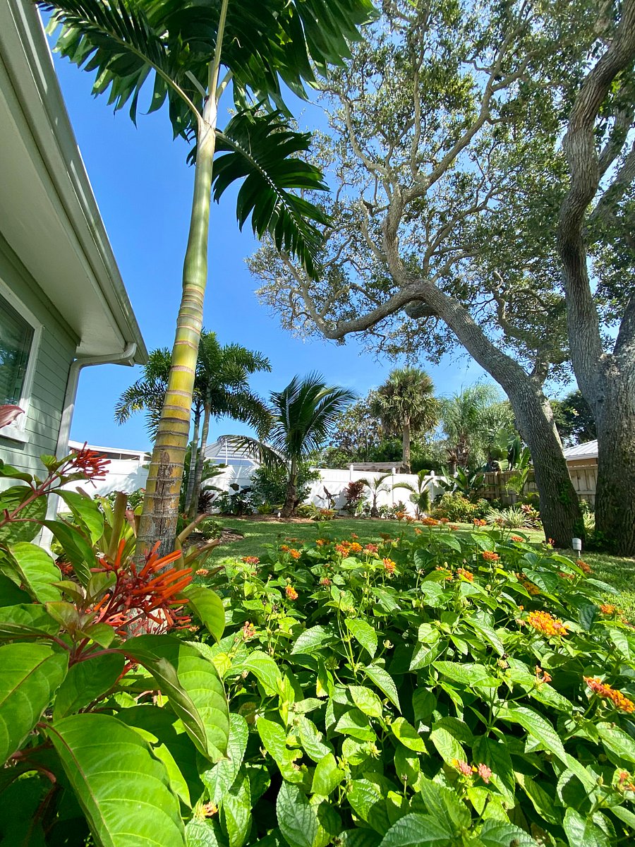 Furnished Finder property 683673_1 photo 19