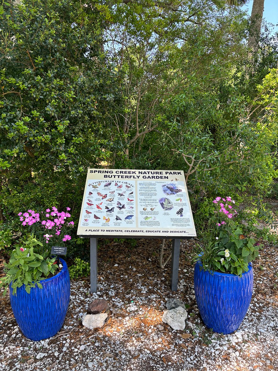 Butterfly Garden