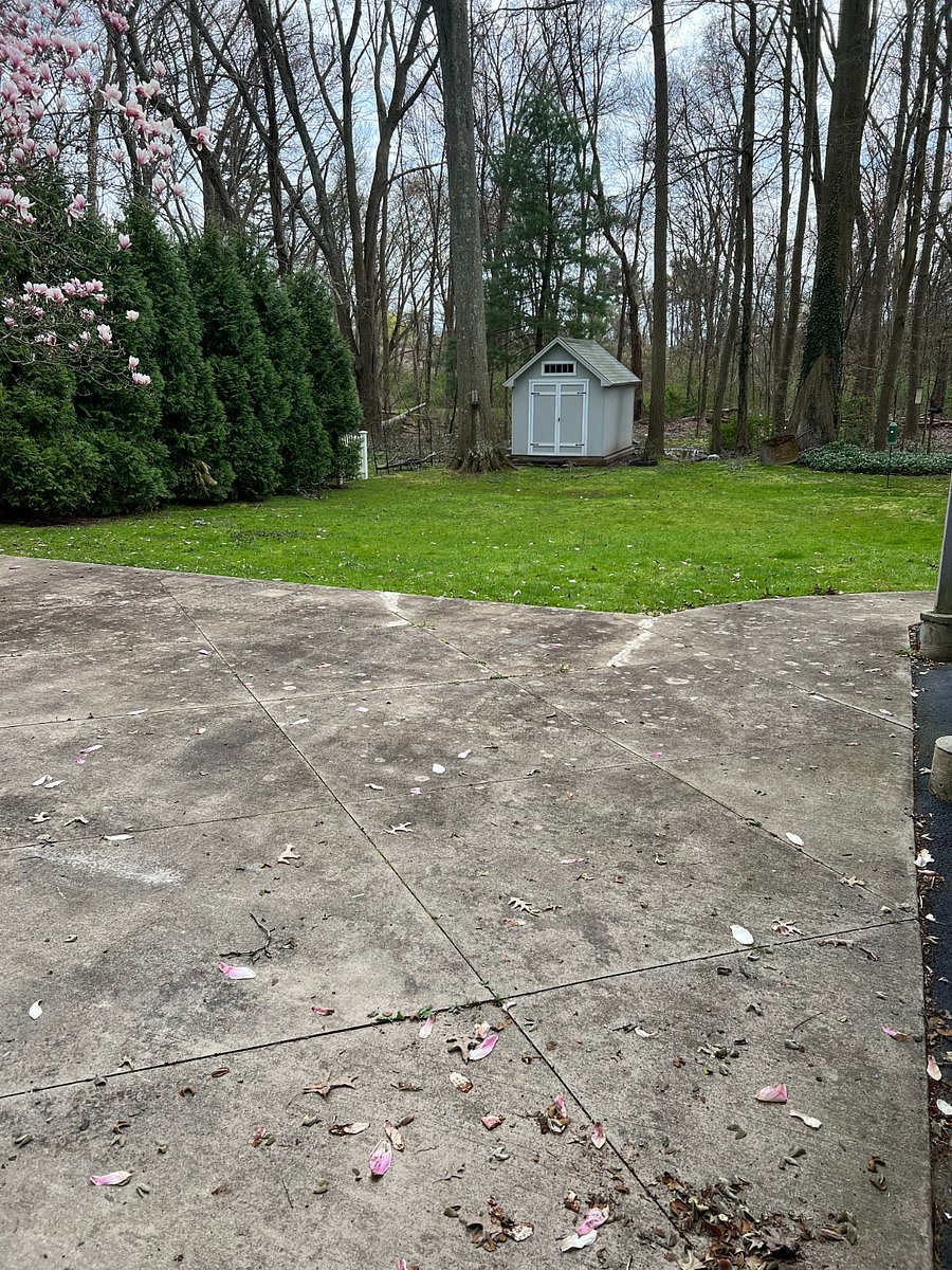 back yard