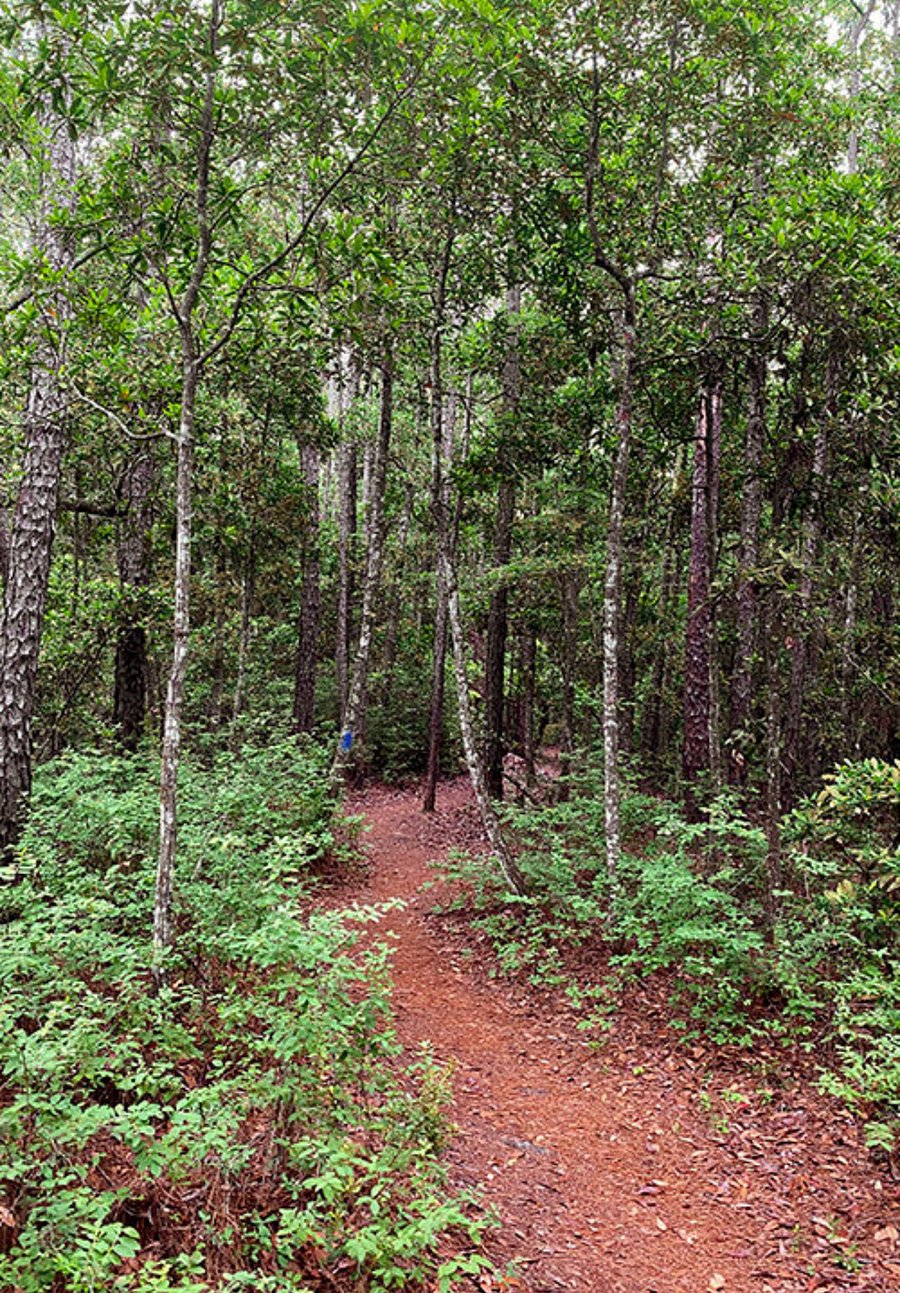 Hiking trails