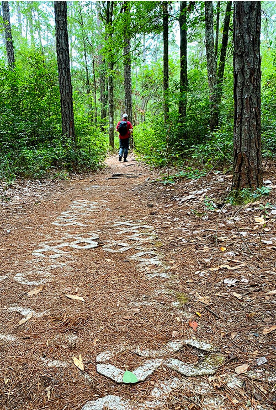 Hiking trails