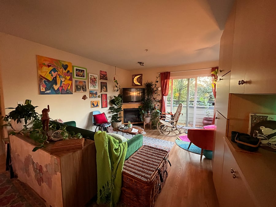 The living room with tons of natural light during the day