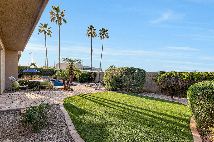 Back yard