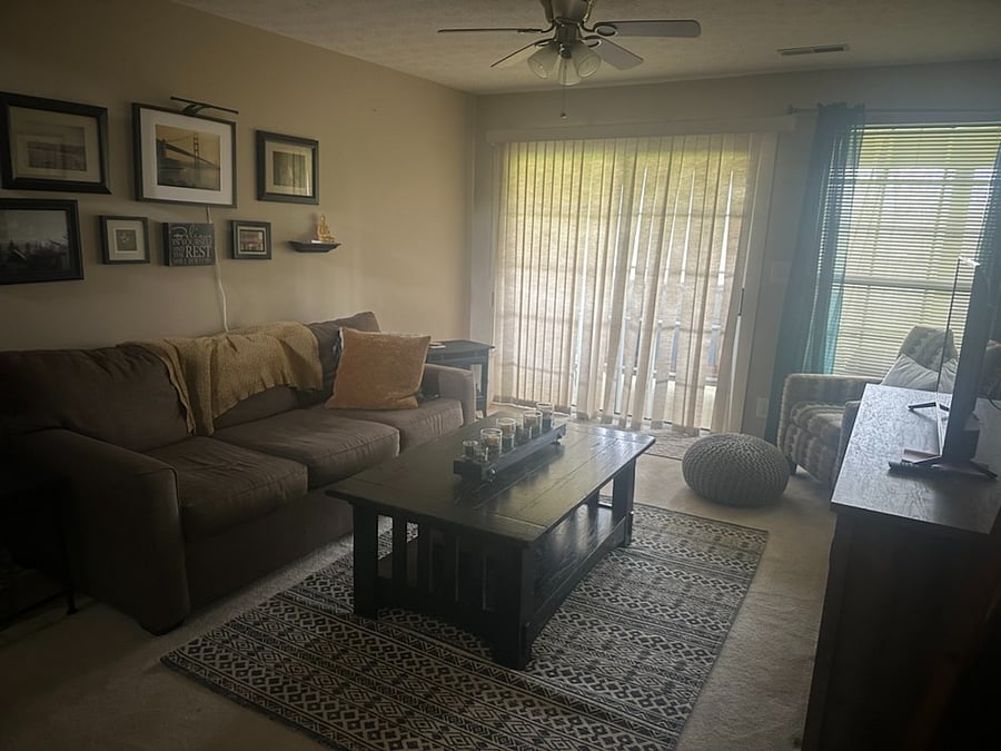 Lower level Living room
