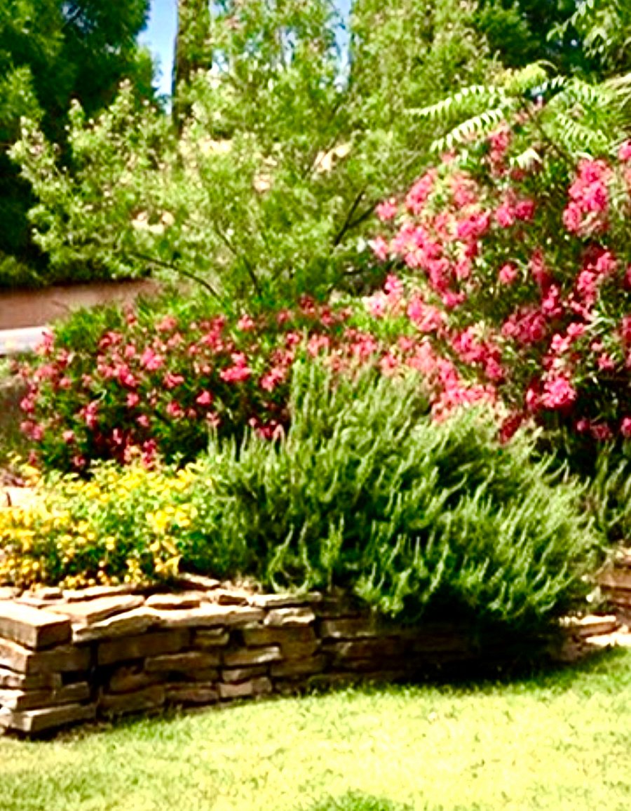 Furnished Finder property 684598_1 photo 10