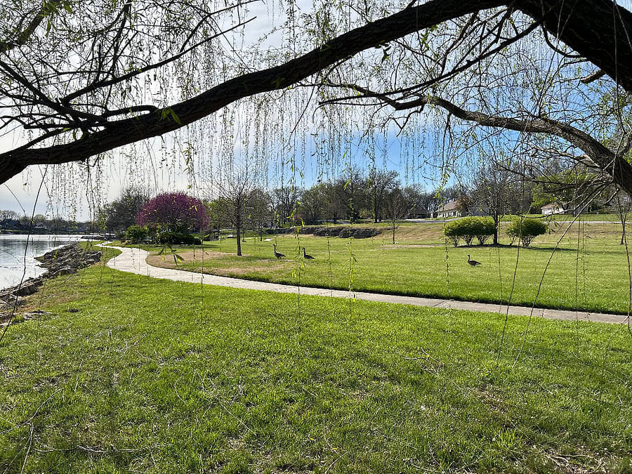 Furnished Finder property 685067_1 photo 24