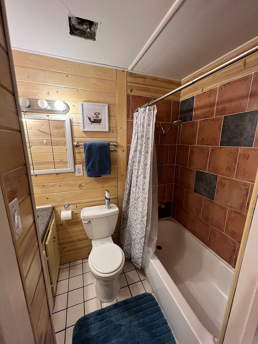 Furnished Finder property 685196_1 photo 8