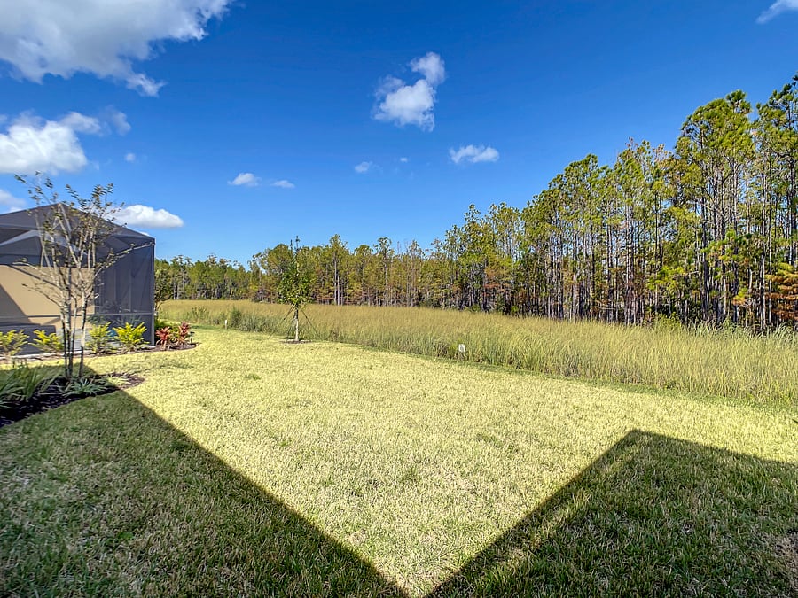 Outside view of the wooded nature preserve facing northeast.