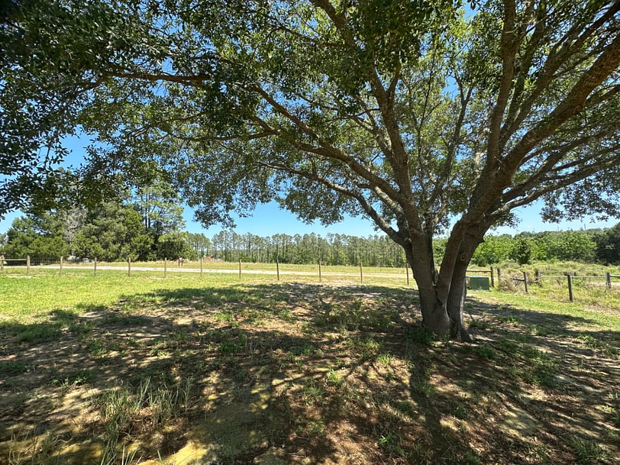 Furnished Finder property 685341_1 photo 10