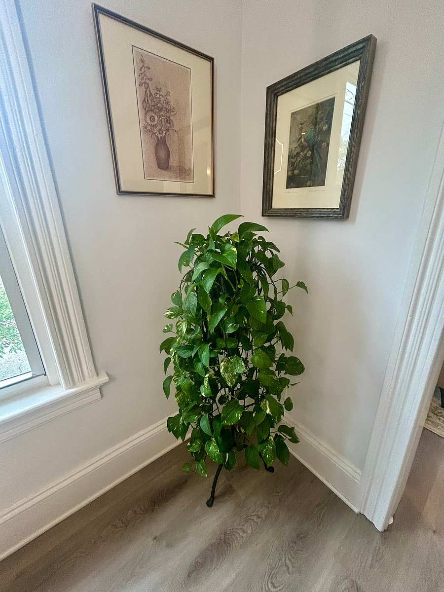 Furnished Finder property 685402_1 photo 12