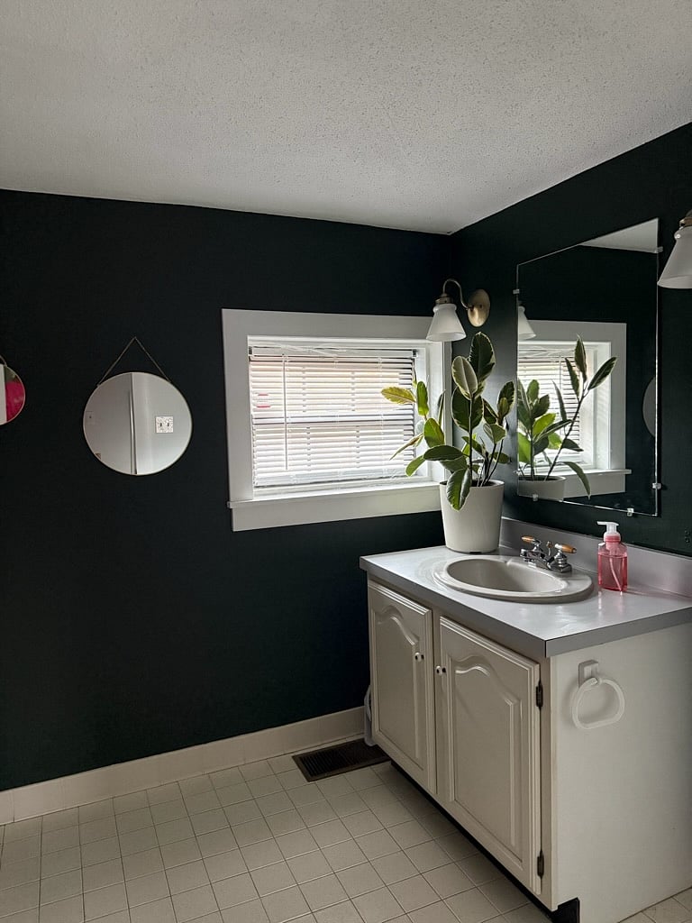 Furnished Finder property 685470_1 photo 34