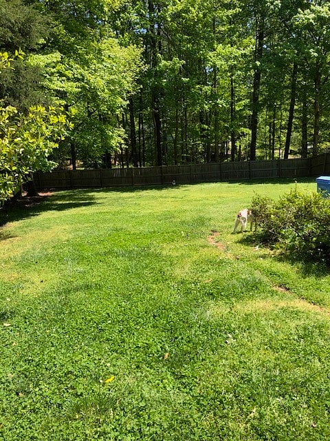 Furnished Finder property 685578_1 photo 16