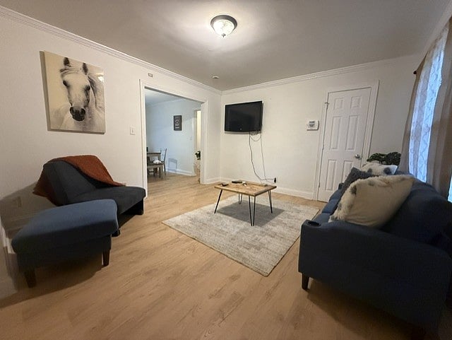 Living room with TVFully furn