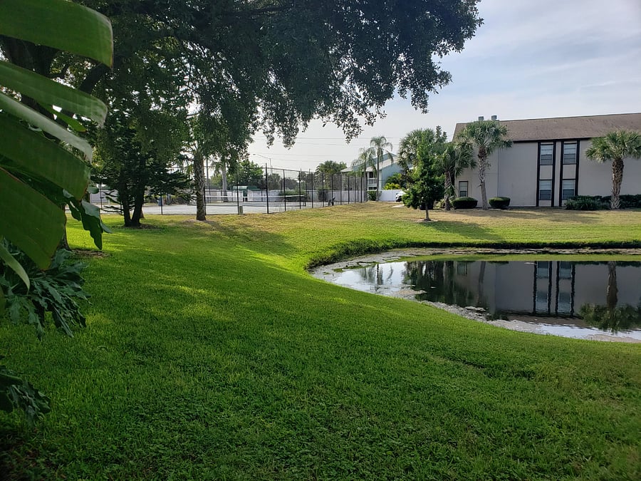 Furnished Finder property 685703_1 photo 26
