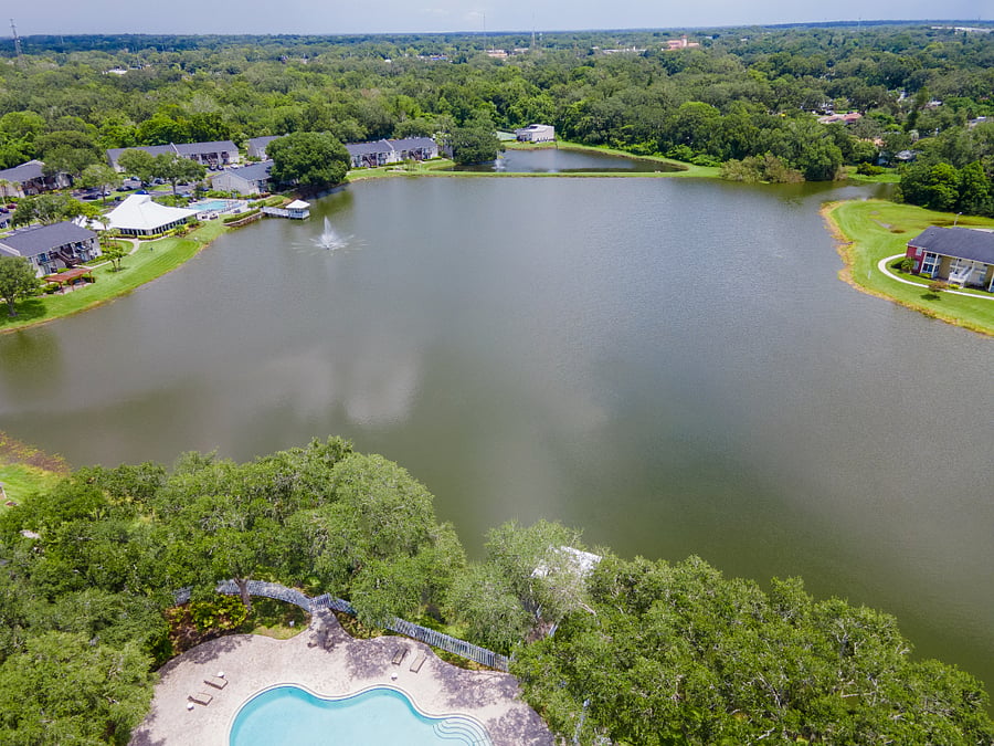 Furnished Finder property 685790_1 photo 23