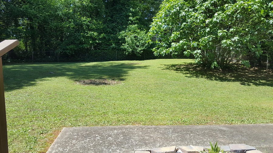 Furnished Finder property 685951_1 photo 14