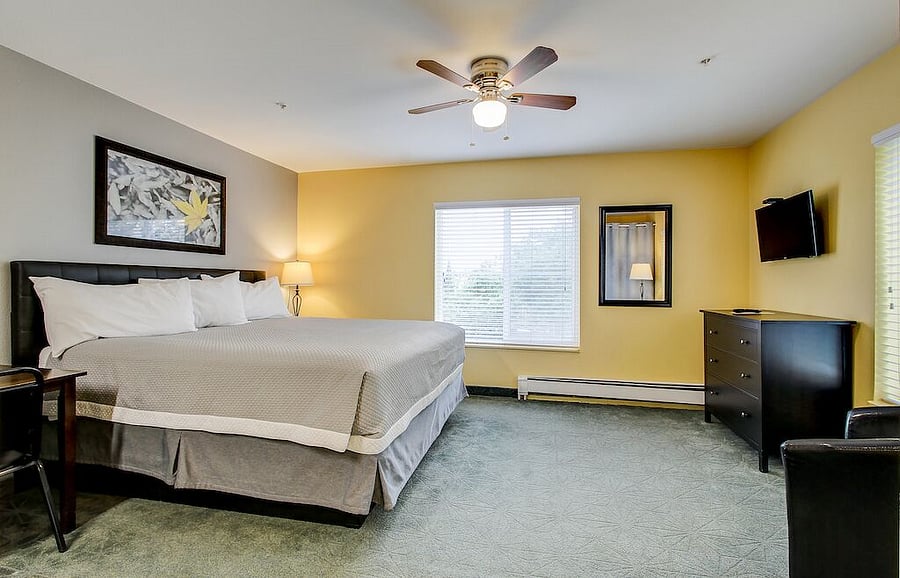 Furnished Finder property 686220_2 photo 4
