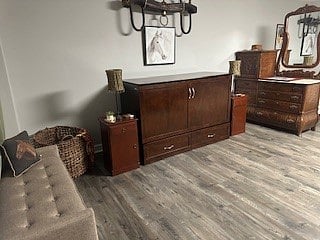 Quenn size Murphy bed.