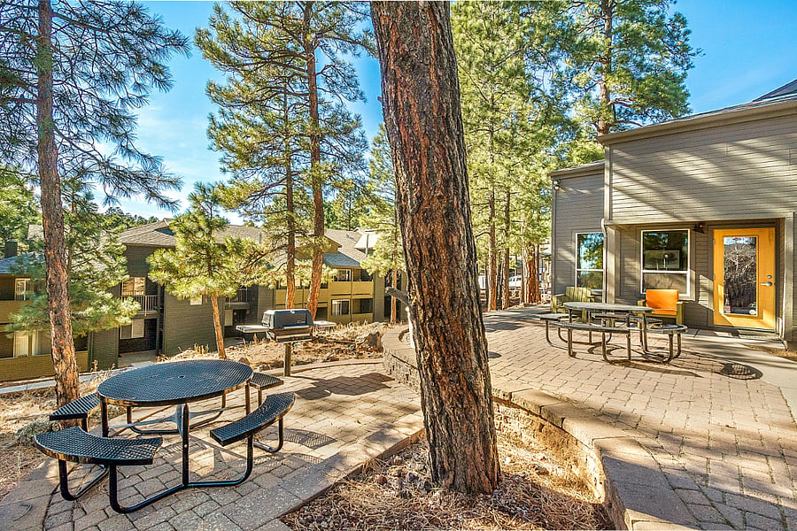 Furnished Finder property 686312_1 photo 24