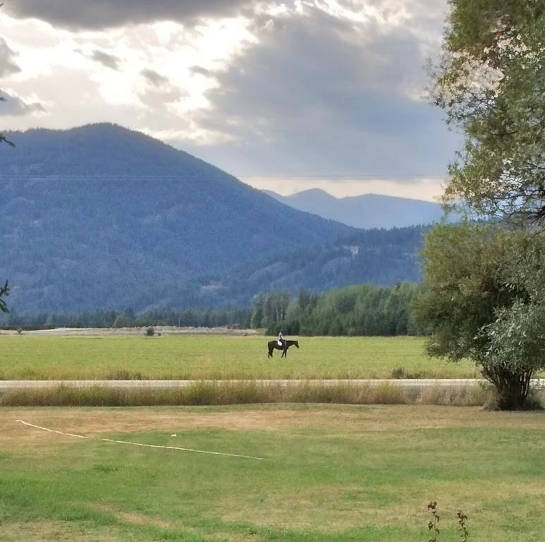 View of the Selkirks across McGhee Rd.