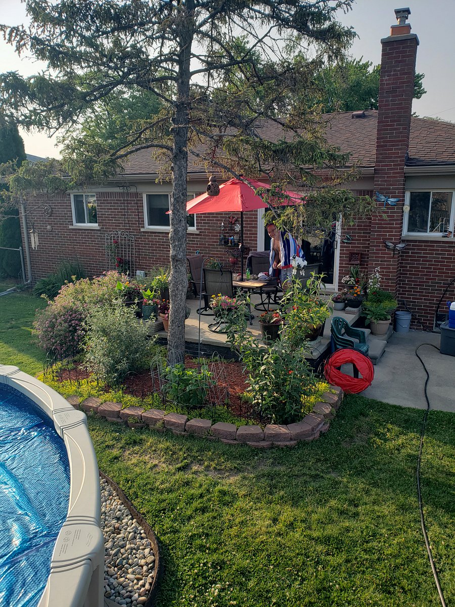 Relax on the patio and enjoy the pool! We surround the space with flowers. 