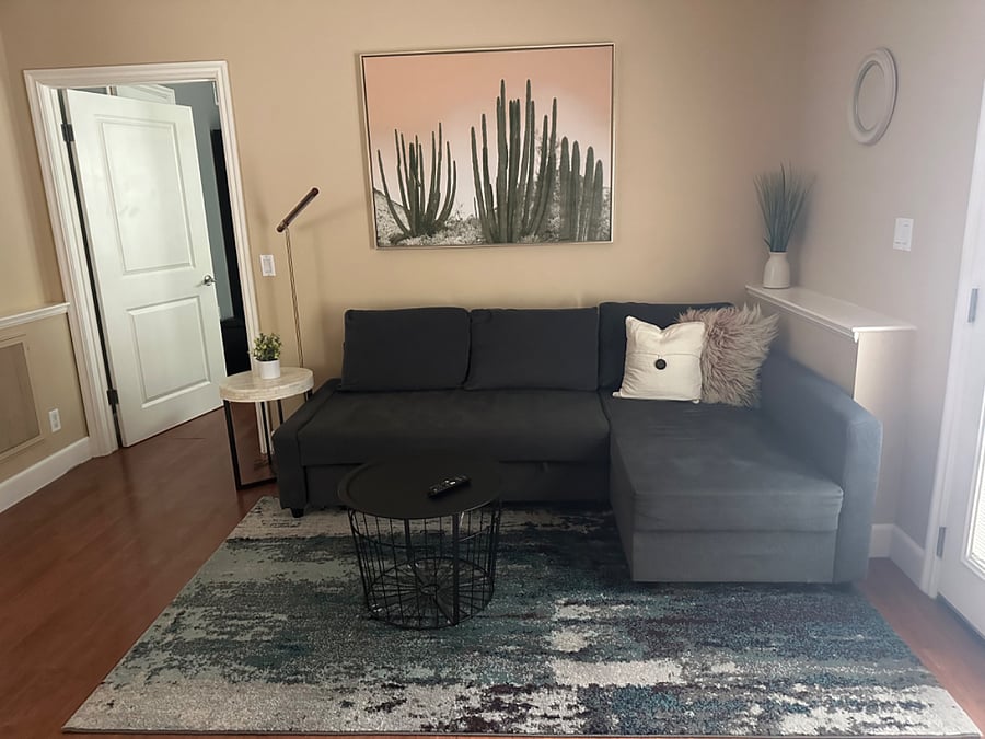 Living room, couch pulls out to sofa bed