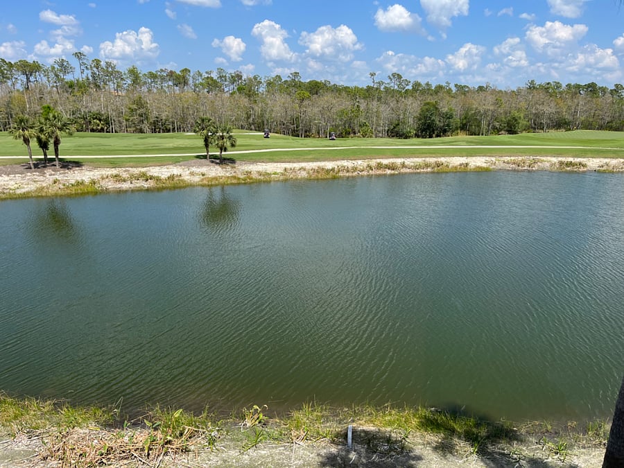 Furnished Finder property 687572_1 photo 13