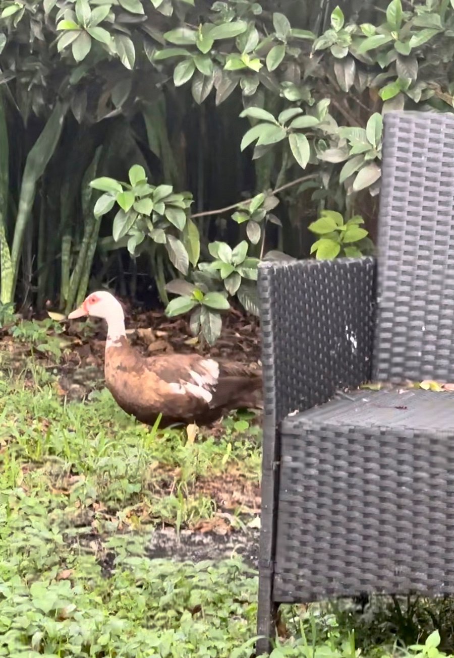 Furnished Finder property 687671_1 photo 5