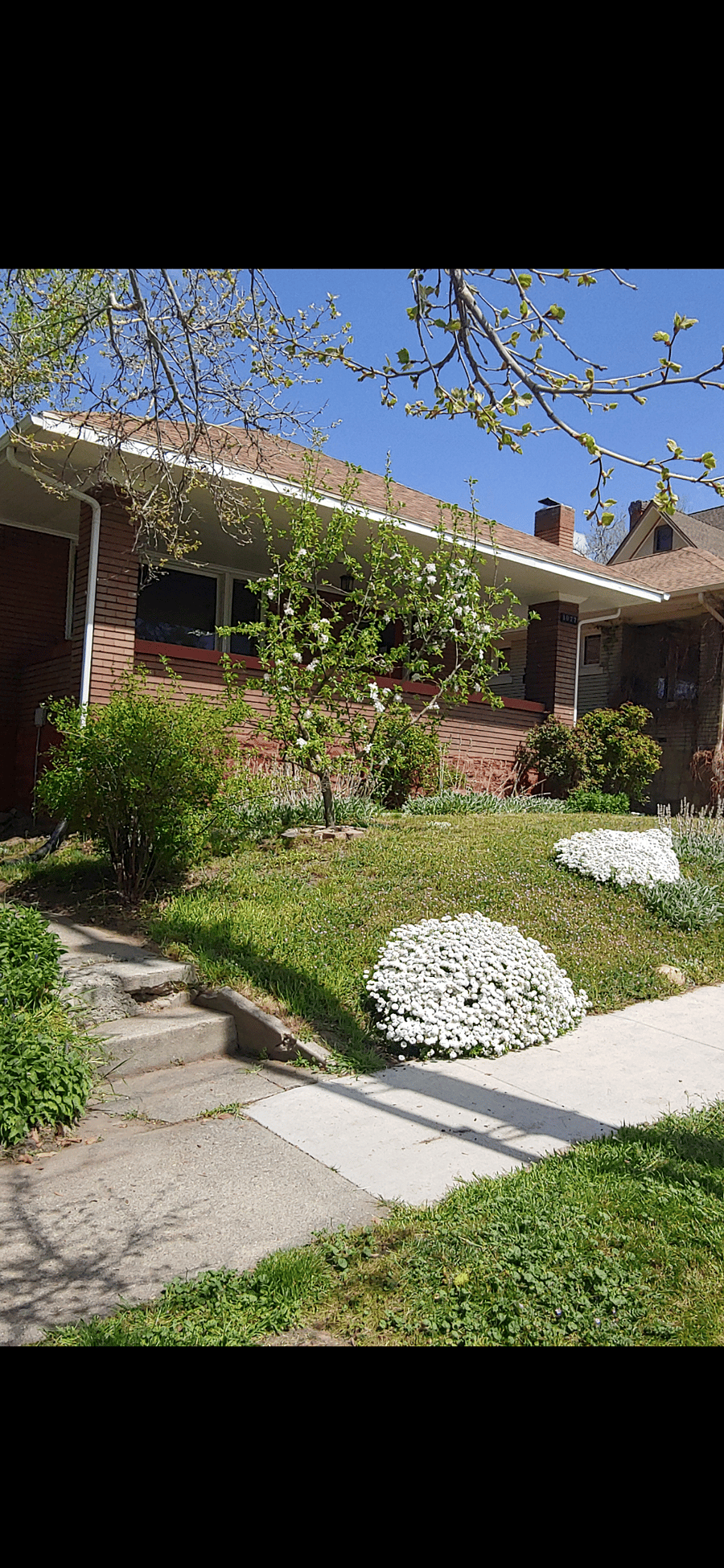 Curb view when you arrive the 1916 front house. Your unit is the attached back cottage with its own private entrances.