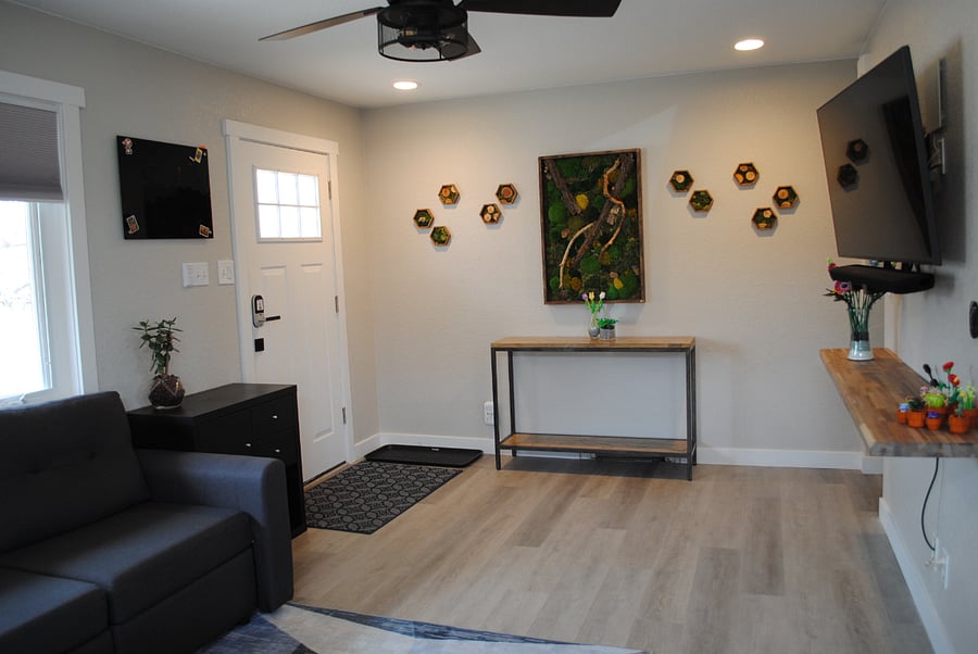 Living area + artwork and SmartTV
