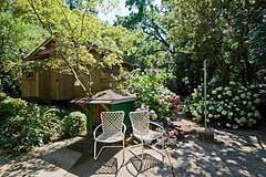 Garden surrounding the Cottage